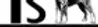 T's Lounge logo