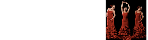 QUIERO FLAMENCO logo